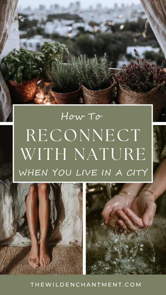 Reconnect with nature in the city: potted herbs, meditation, and water therapy for urban dwellers.