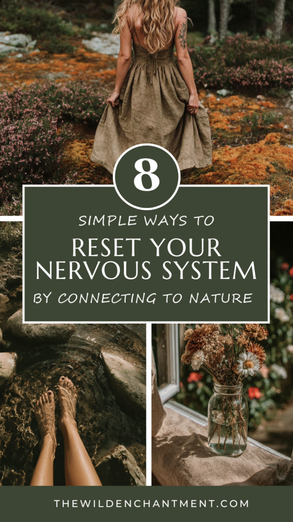 nervous-system-connect-nature 8 ways to reset your nervous system by embracing nature, featuring soothing images and calming tips.