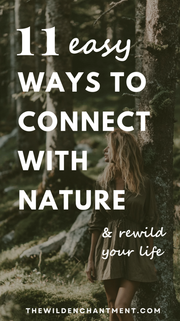 Explore 11 Ways to Connect with Nature and Rewild Your Life in a Serene Forest Setting.