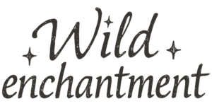 Text 'Wild enchantment' with decorative stars, conveying magical and adventurous vibes.